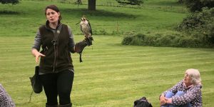 birdofprey_leightonhall_landscape