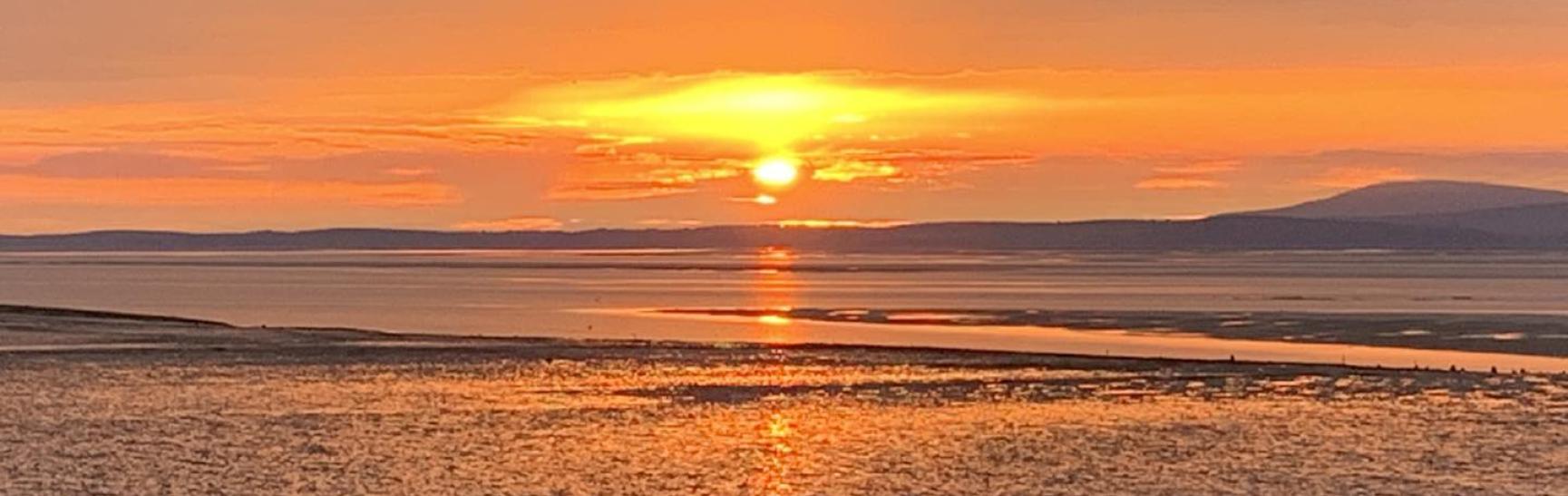 532231013 792688569996234 8060592439175448210 N