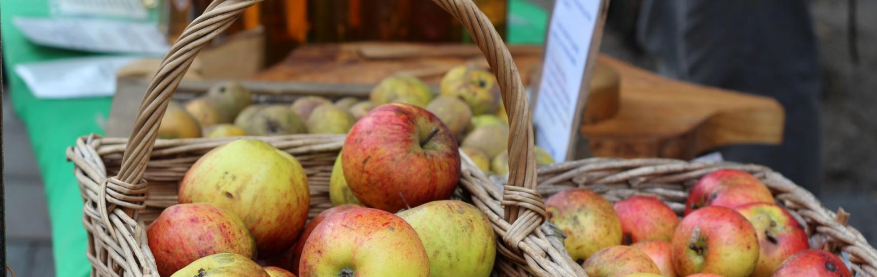 Apple Day Credit Lauren Hall Photo And Video 1 