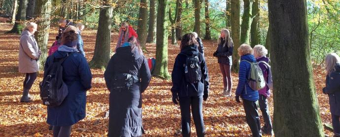 Walking in the Forest of Bowland