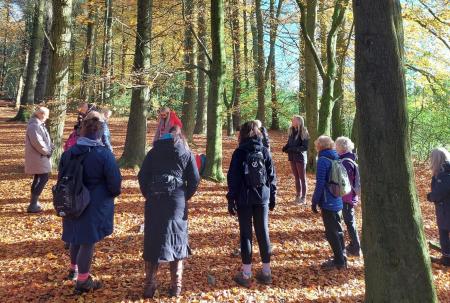 Walking in the Forest of Bowland