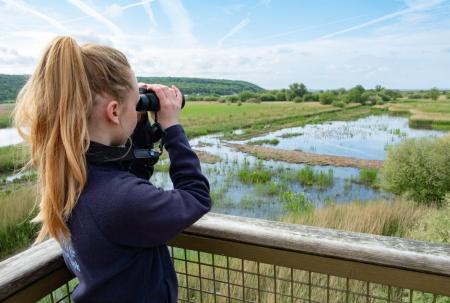 Leighton Moss by Diana Jarvis