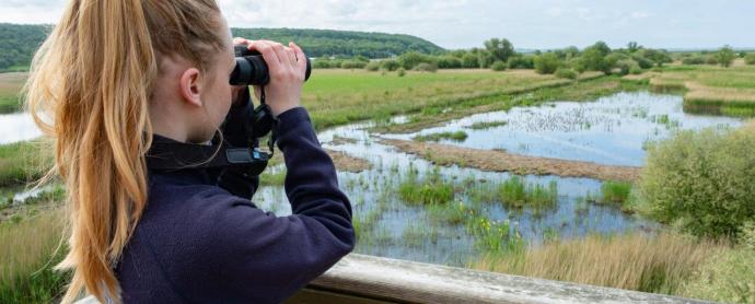 Leighton Moss by Diana Jarvis