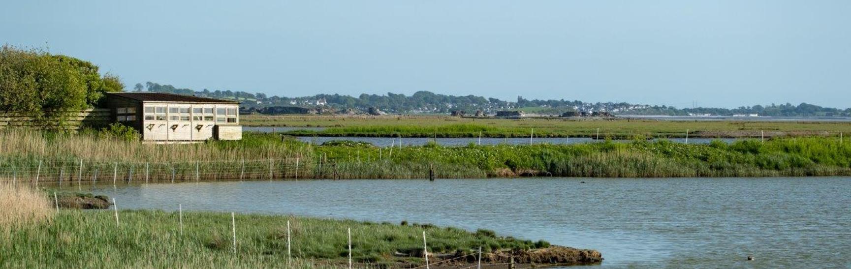 Leighton Moss by Diana Jarvis