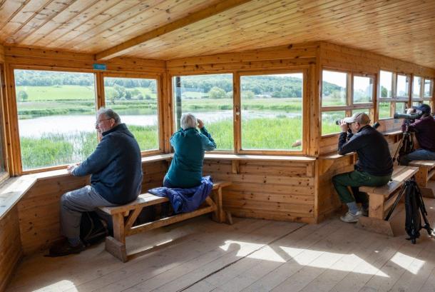 RSPB Leighton Moss, Silverdale by Diana Jarvis