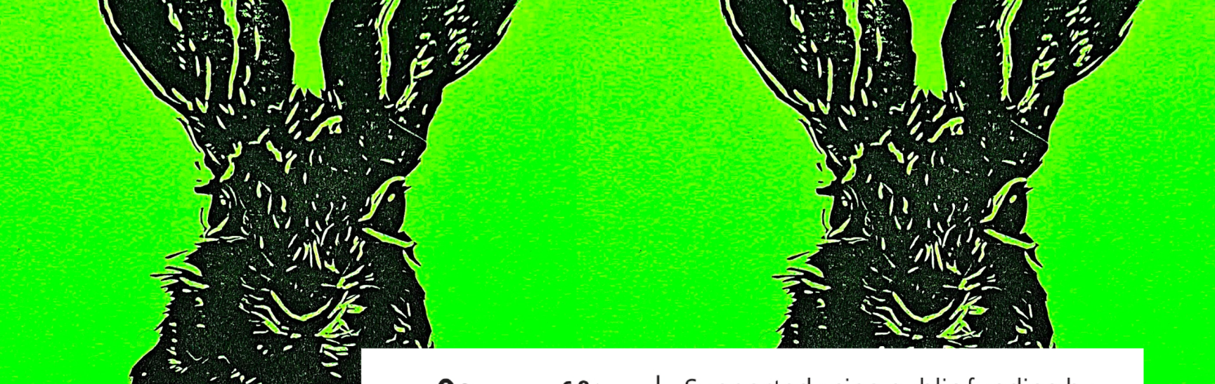 Double Hare
