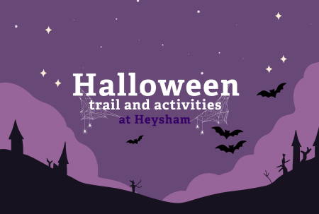 Halloween Trail 2026 