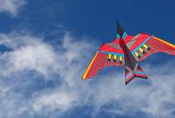 Kite