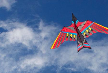 Kite