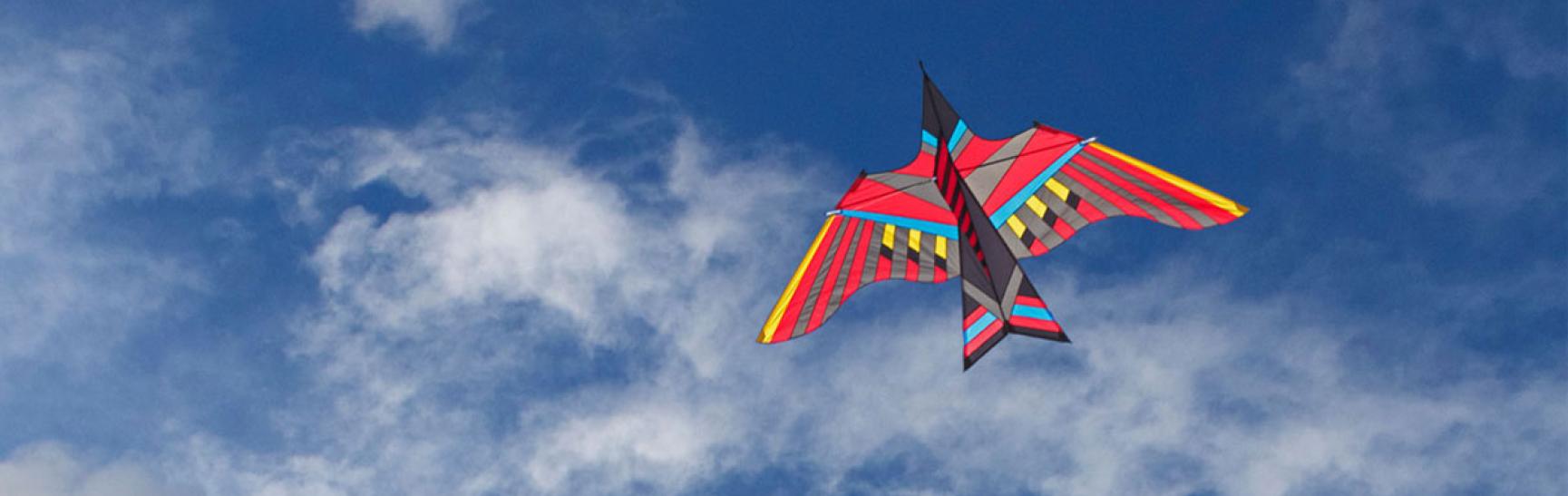 Kite
