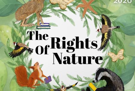 Litfest 2026 Spring Festival Cover Image