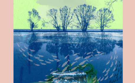 Main Image And Title 2