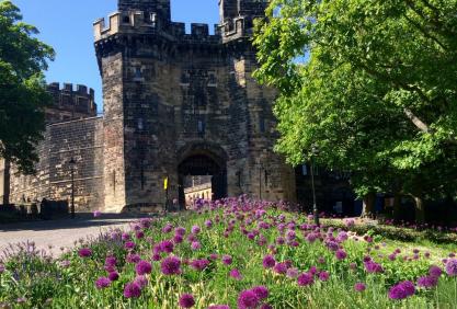 Aliums outside Lancaster Castle