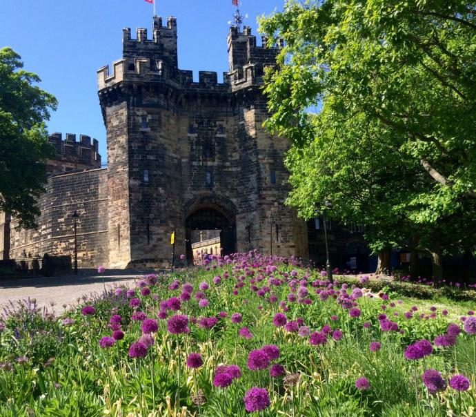 Aliums outside Lancaster Castle