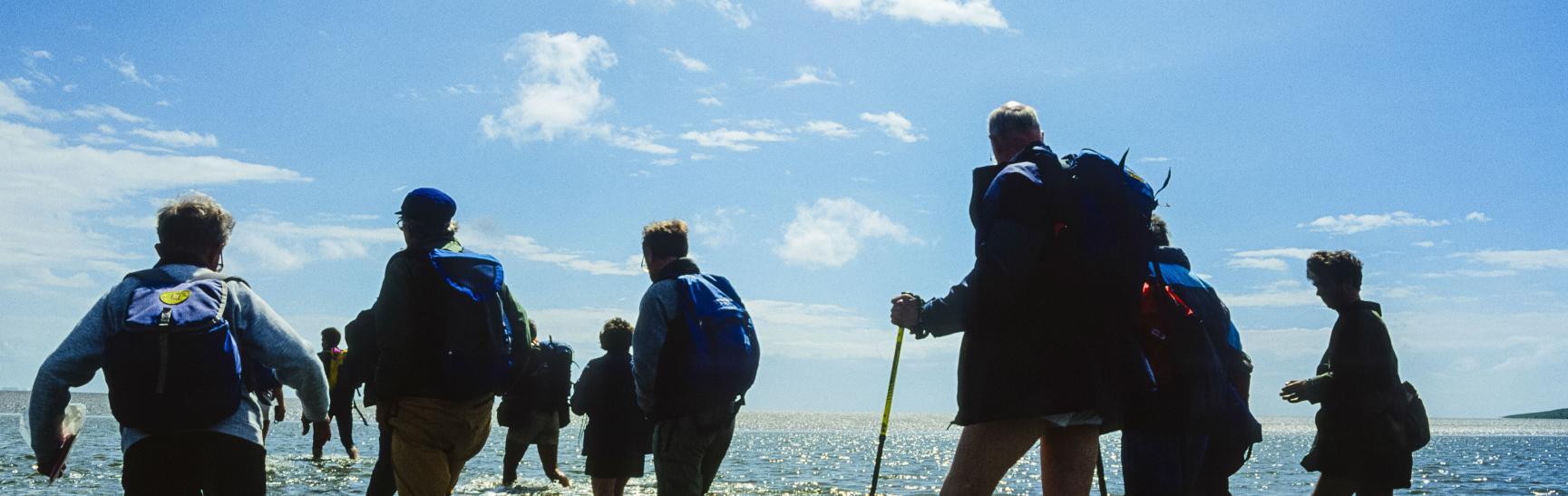 Cross Bay Walks, Morecambe Bay image by Jon Sparks