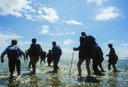 Cross Bay Walks, Morecambe Bay image by Jon Sparks