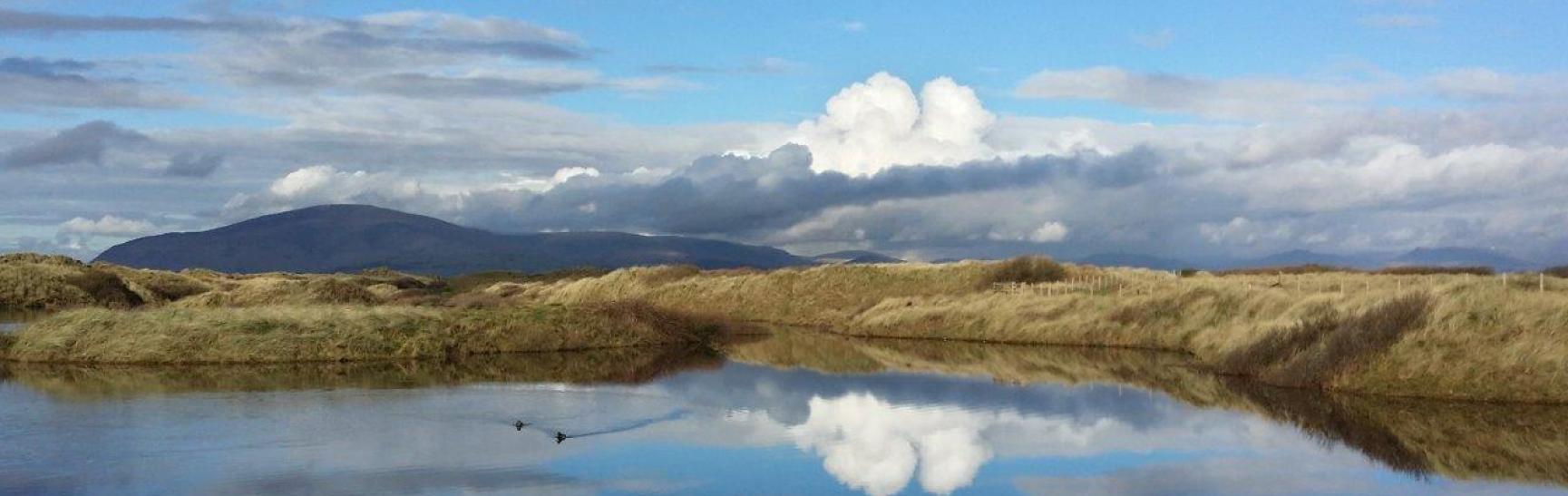 North Walney Black Combe