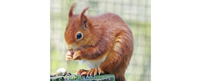 Lakeland Wildlife Oasis, Near Milnthorpe