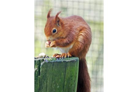 Lakeland Wildlife Oasis, Near Milnthorpe