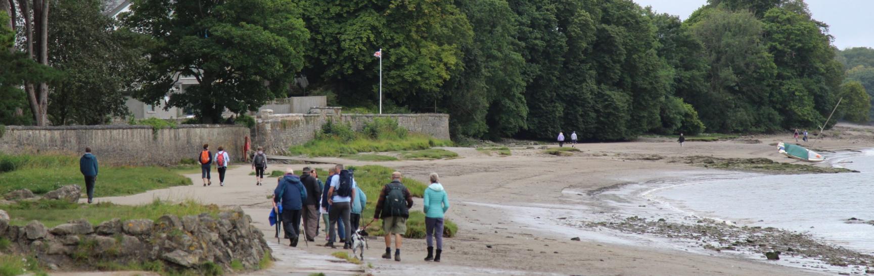 Arnside beach walk