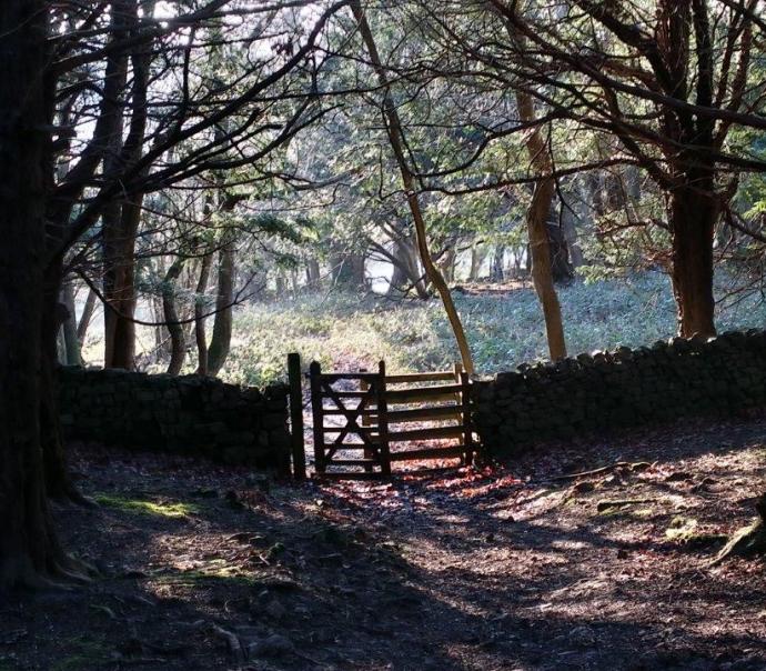 Winter Walks in Arnside by Steve Pipe