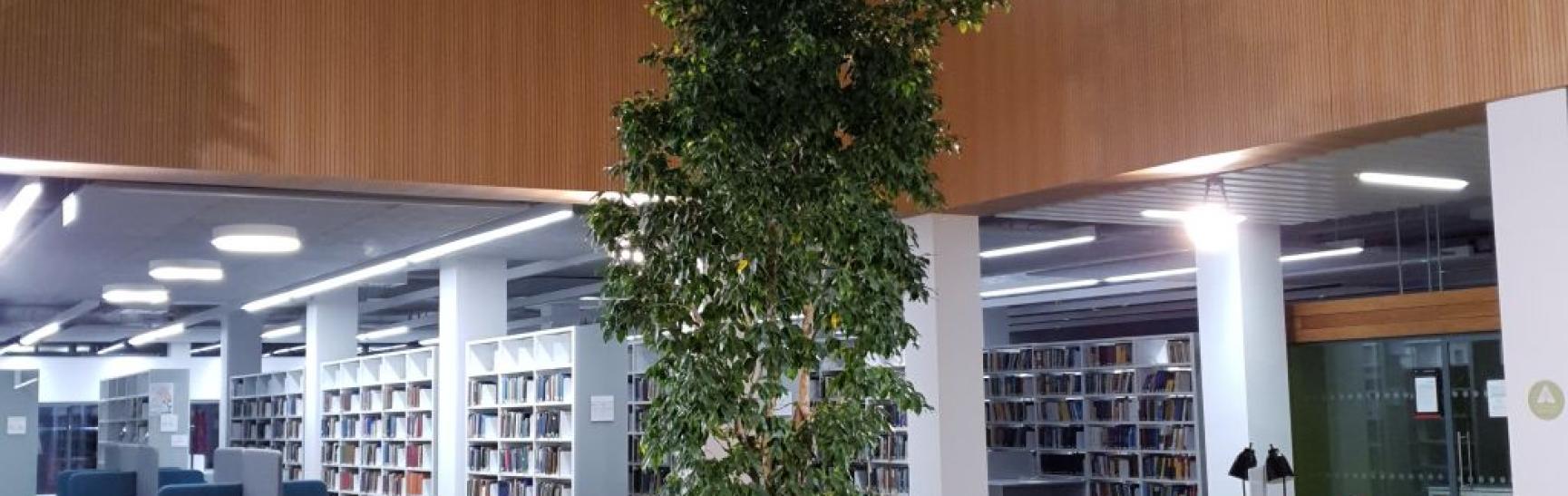 Lancaster University Library 1024 1024 80