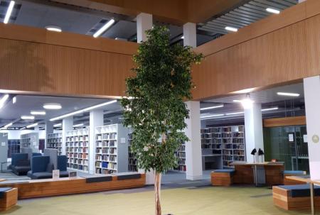 Lancaster University Library 1024 1024 80