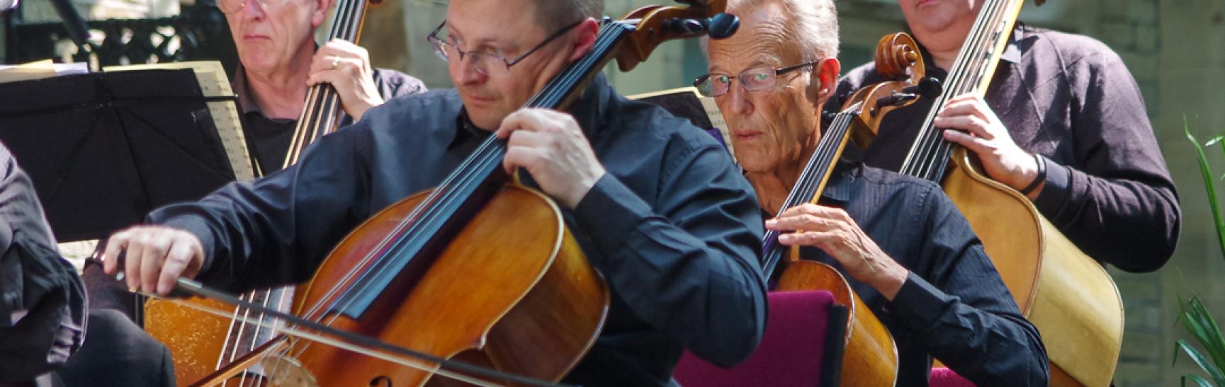 Promenade Concert Orchestra Cellos And Bass 1731963834