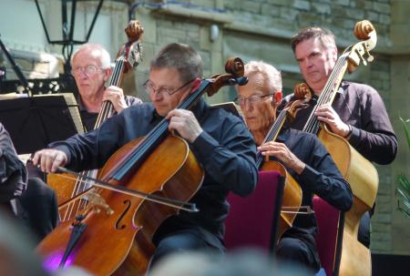 Promenade Concert Orchestra Cellos And Bass