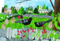 Saaaf Image Gill Ferguson