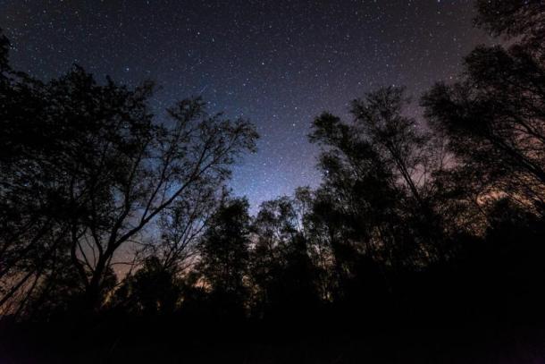 Image by Matthew Savage, thanks to Forest of Bowland National Landscape