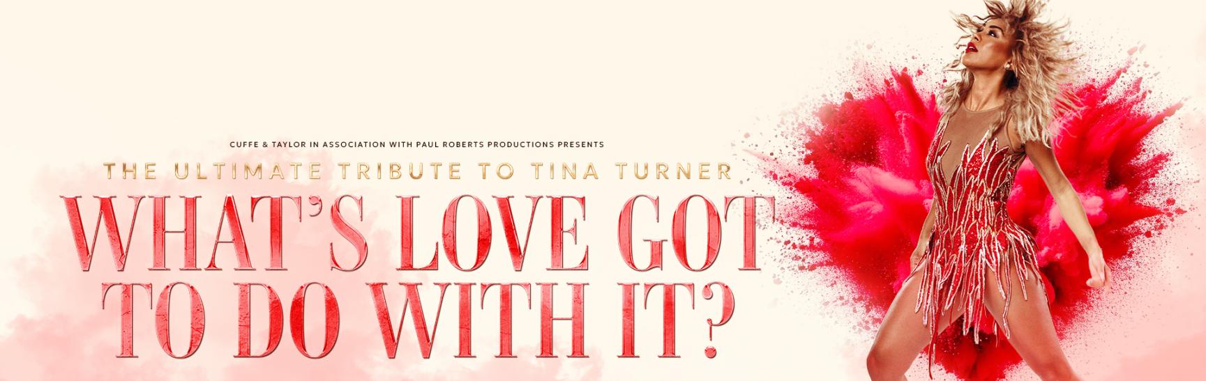 Tina 1920x1080 Whats Love Clean