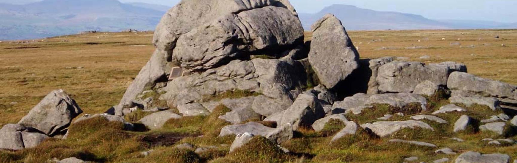 Ward S Stone
