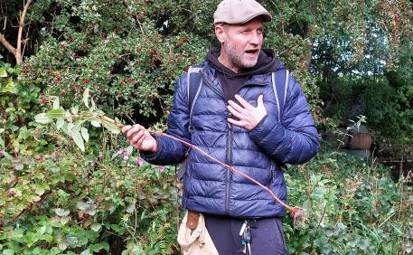 Wild Food Exploration2