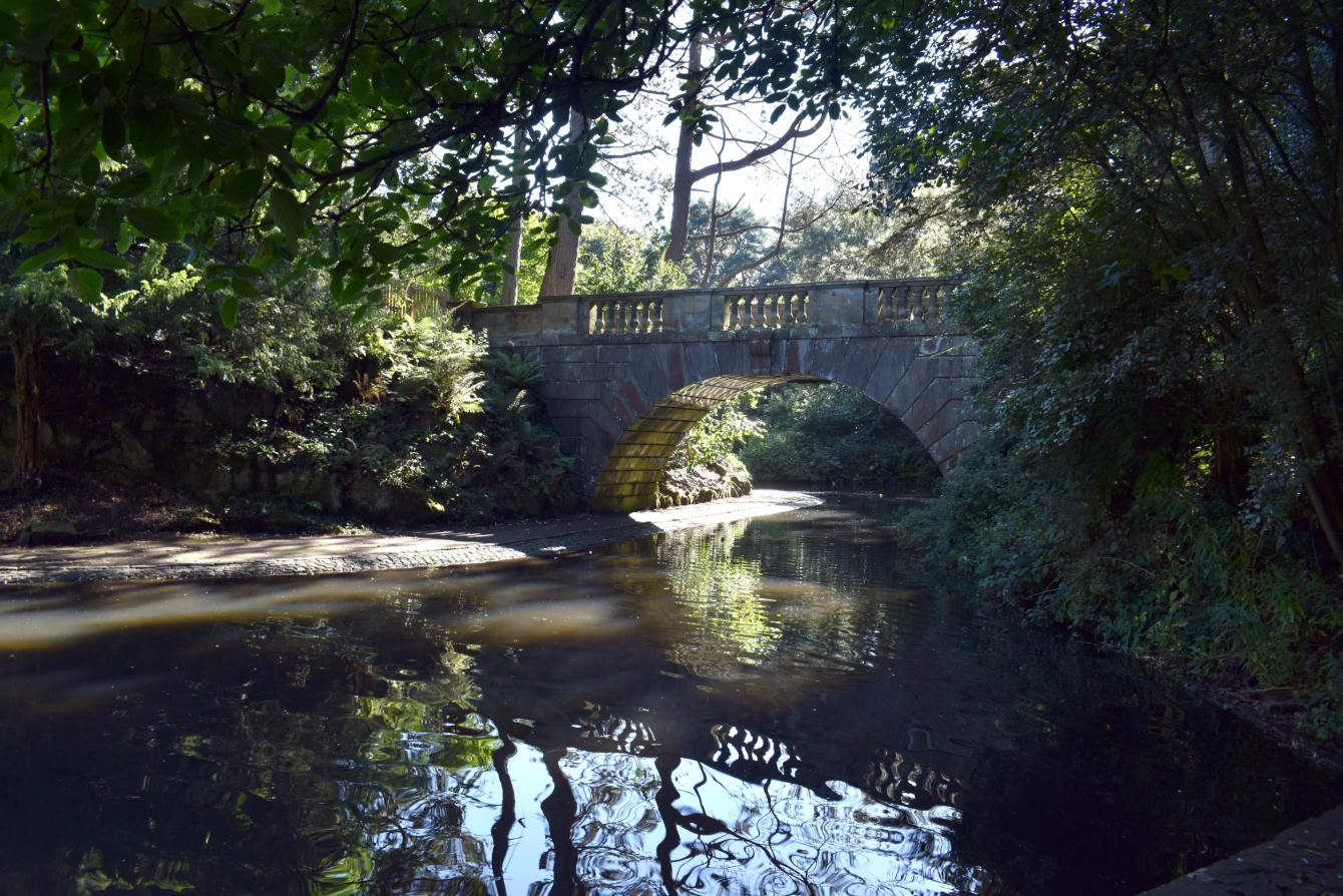 Williamson0001