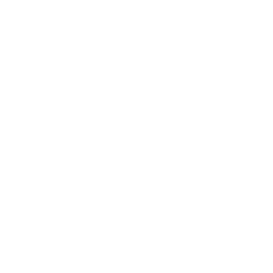 Art Soul Logo White