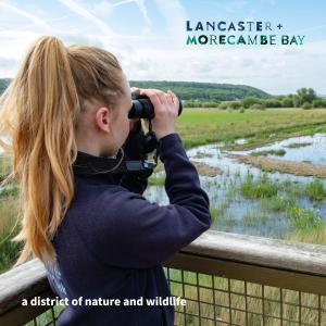 City Lab Leighton Moss (JPG)