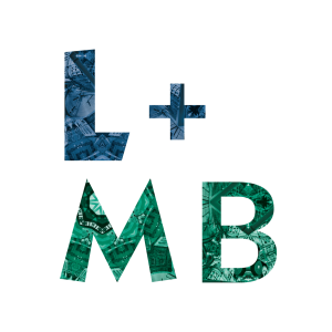 L+MB Icon Kal Navy + Teal (PNG)