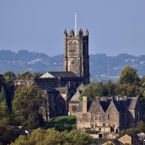 Priory 0058 Credit - Darren Andrews (JPG)
