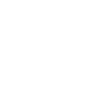 White Trans Round 2