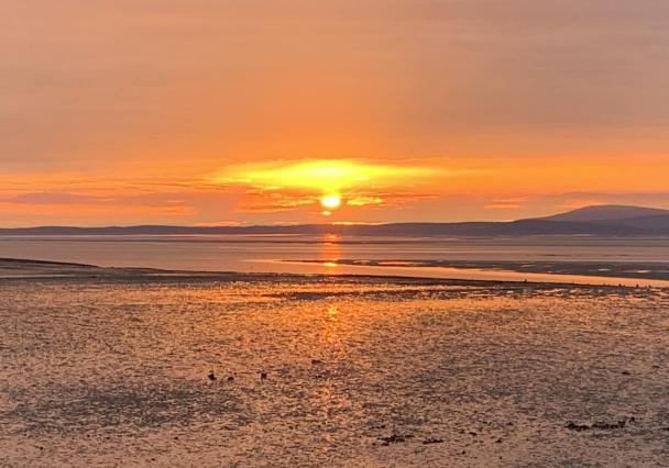 532231013 792688569996234 8060592439175448210 N