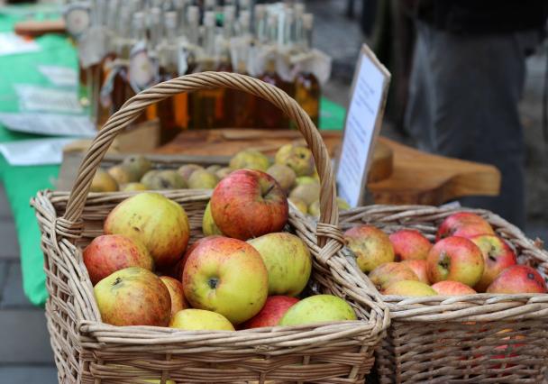 Apple Day Credit Lauren Hall Photo And Video 1 