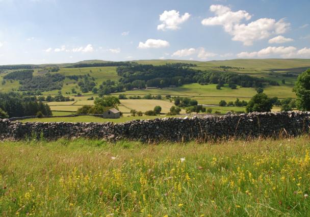 Forest Of Bowland2