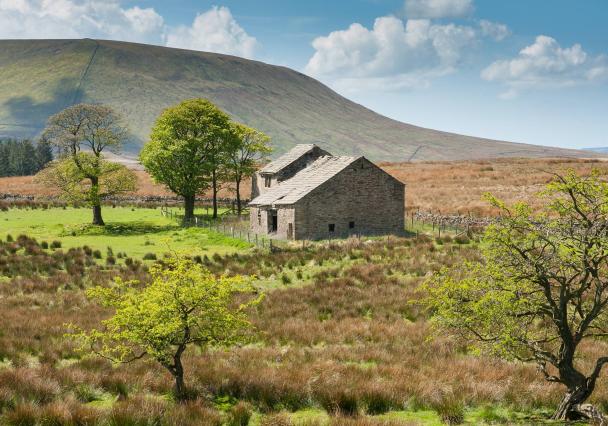 Forest Of Bowland5