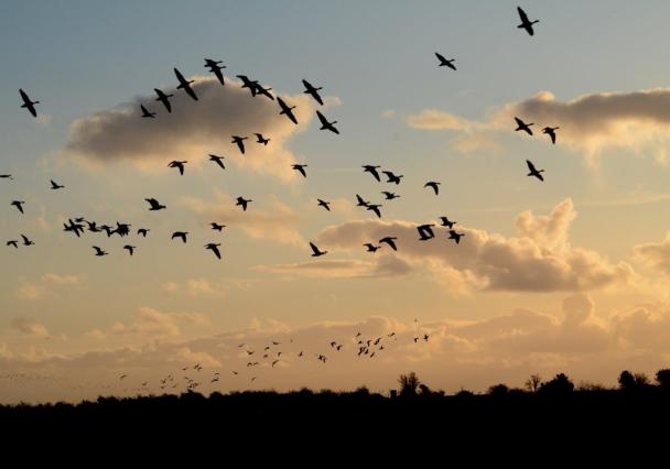 Leighton Moss Darren Andrews 1 