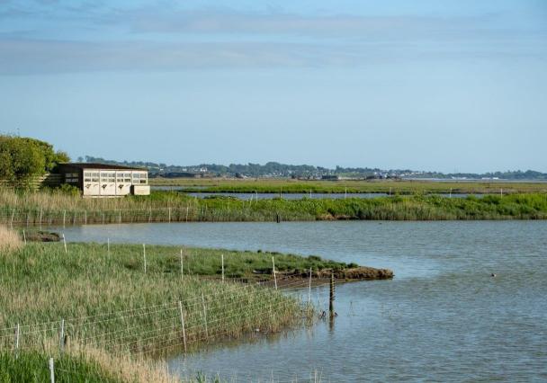 Leighton Moss Diana Jarvis 4 