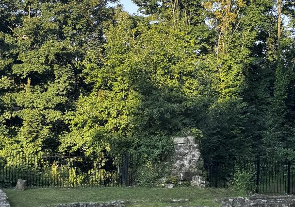 Roman Bath House And Wery Wall 23 