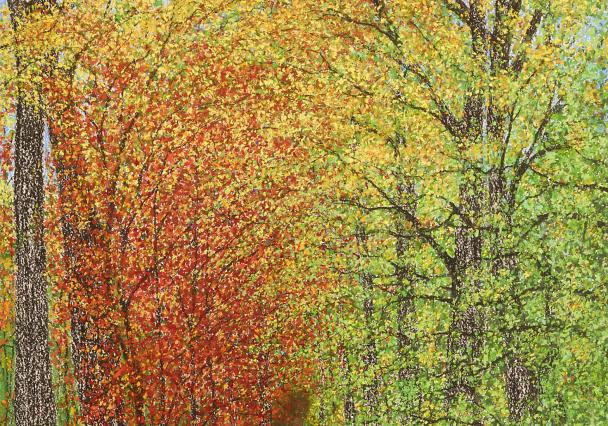 Autumn Forest Scaled