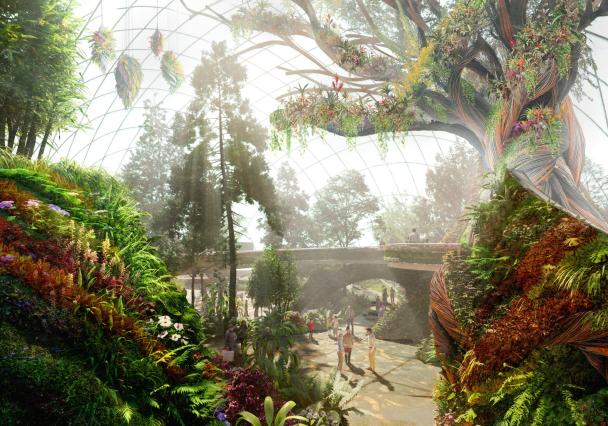 Concept Art Of The Elder Tree Eden Project Morecambe