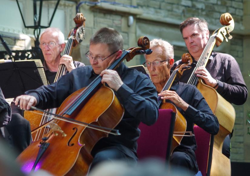 Promenade Concert Orchestra Cellos And Bass